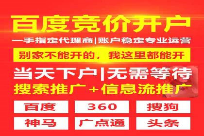 SEM代理实战：成功案例分享与经验总结